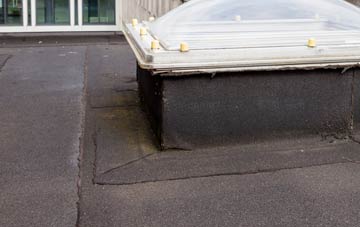 disadvantages of North Seaton Colliery flat roofs